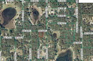 00 SE 92nd Pl, Ocklawaha, FL 32179 - Photo 1