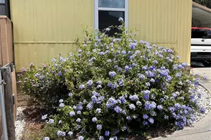 655 SE 162nd Terrace, Silver Springs, FL 34488 - Photo 6