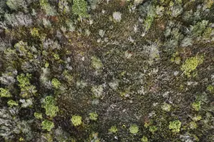 00 W Market Rd, Starke, FL 32091 - Photo 14