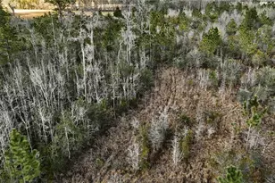 00 W Market Rd, Starke, FL 32091 - Photo 12