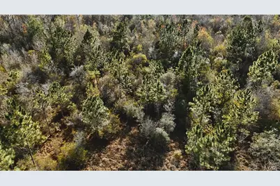 00 W Market Road, Starke, FL 32091 - Photo 10