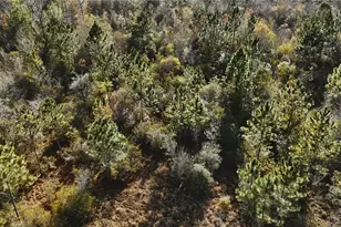 00 W Market Rd, Starke, FL 32091 - Photo 10