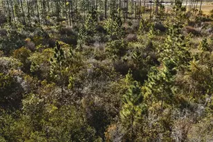 00 W Market Rd, Starke, FL 32091 - Photo 20