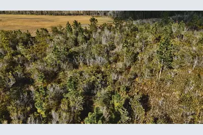 00 W Market Road, Starke, FL 32091 - Photo 8