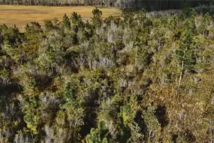 00 W Market Rd, Starke, FL 32091 - Photo 8