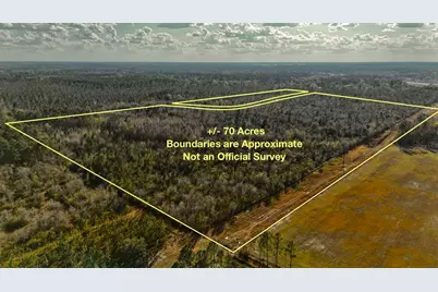 00 W Market Road, Starke, FL 32091 - Photo 4