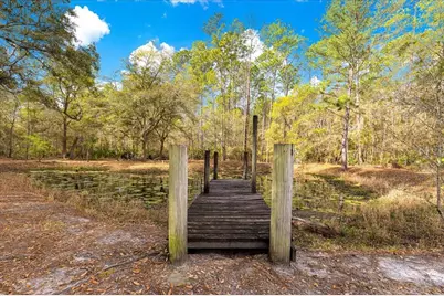 6750 NE 137th Place, Citra, FL 32113 - Photo 32