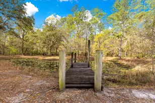 6750 NE 137th Pl, Citra, FL 32113 - Photo 32