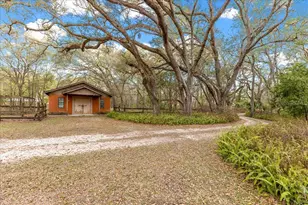 6750 NE 137th Pl, Citra, FL 32113 - Photo 46