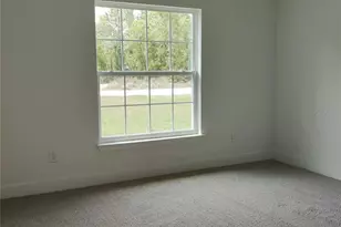 15406 Scaup Duck Ave, Weeki Wachee, FL 34614 - Photo 8