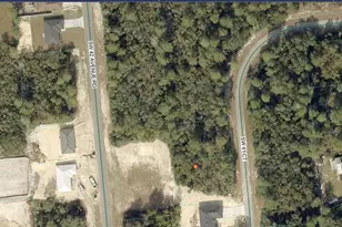 Tbd SW 41st Ct, Ocala, FL 34473 - Photo 1