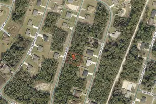 Tbd SW 37th Ave, Ocala, FL 34473 - Photo 1