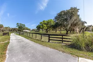 205 E Hwy 318, Citra, FL 32113 - Photo 10