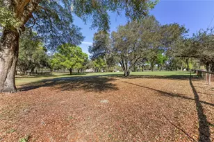 205 E Hwy 318, Citra, FL 32113 - Photo 60