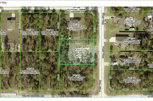 16295 Pomp Pkwy, Weeki Wachee, FL 34614 - Photo 28