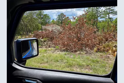 Tbd NE 14th Place, Williston, FL 32696 - Photo 2