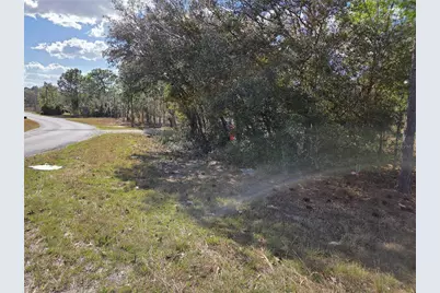 Tbd NE 14th Place, Williston, FL 32696 - Photo 1