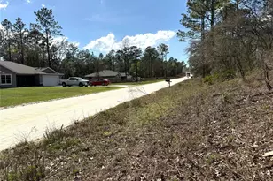 Tbd SW 85th Pl, Dunnellon, FL 34432 - Photo 1