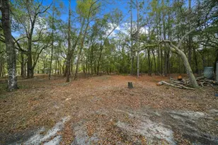 7550 SW 185th Cir, Dunnellon, FL 34432 - Photo 60