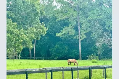 6375 SW 63rd Street, Ocala, FL 34474 - Photo 4