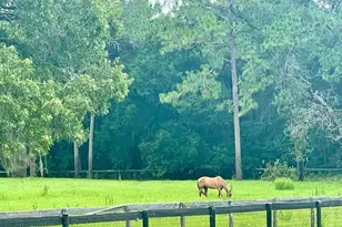 6375 SW 63rd St, Ocala, FL 34474 - Photo 4