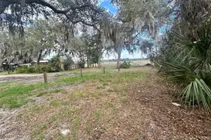 24876 NE 135th Ln, Fort Mc Coy, FL 32134 - Photo 18
