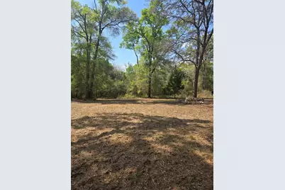 268 SW Luke Place, Fort White, FL 32038 - Photo 4