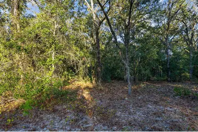 Tbd SW 174 Place, Ocala, FL 34473 - Photo 6
