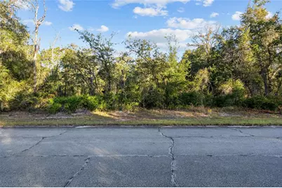 Tbd SW 174 Place, Ocala, FL 34473 - Photo 2