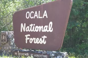 18640 SE 22nd Ln, Silver Springs, FL 34488 - Photo 78