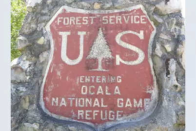 18640 SE 22nd Lane, Silver Springs, FL 34488 - Photo 74