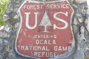 18640 SE 22nd Ln, Silver Springs, FL 34488 - Photo 74