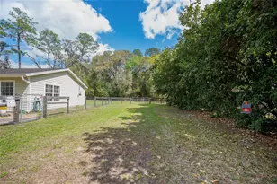 15935 SW County Rd 346, Archer, FL 32618 - Photo 36