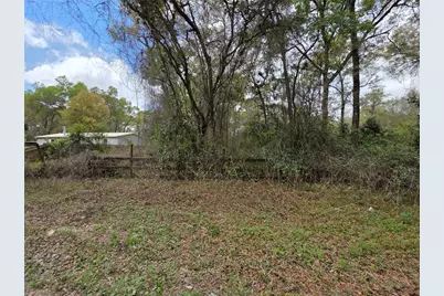 00 SE 30th Avenue, Summerfield, FL 34491 - Photo 2
