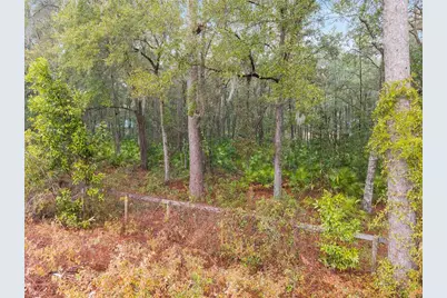 Tbd NE 58th Circle, Silver Springs, FL 34488 - Photo 10