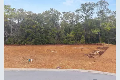 Tbd NE 58th Circle, Silver Springs, FL 34488 - Photo 6