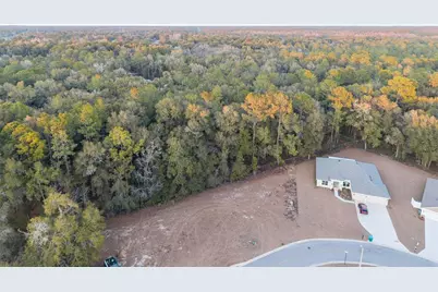 Tbd NE 58th Circle, Silver Springs, FL 34488 - Photo 16