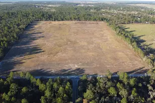 14231 SE 80th St, Morriston, FL 32668 - Photo 1