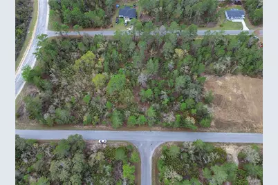 Tbd Malauka Lane, Ocklawaha, FL 32179 - Photo 2