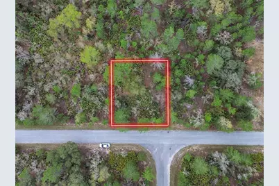 Tbd Malauka Lane, Ocklawaha, FL 32179 - Photo 1