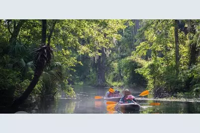 15594 NE 233rd Place, Fort Mc Coy, FL 32134 - Photo 42