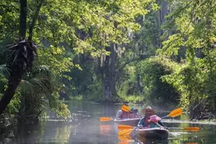 15594 NE 233rd Pl, Fort Mc Coy, FL 32134 - Photo 42