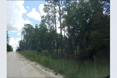 150th Avenue, Morriston, FL 32668 - Photo 2