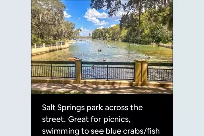 25287 NE 139th Lane #286, Salt Springs, FL 32134 - Photo 30