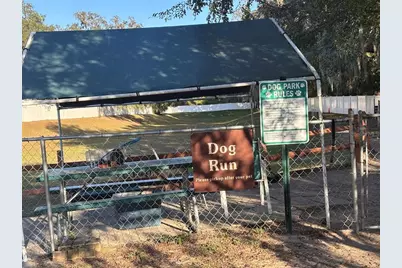 25287 NE 139th Lane #286, Salt Springs, FL 32134 - Photo 12