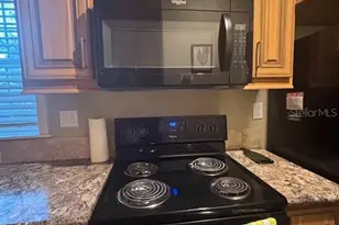 25203 NE 141st Ln, Salt Springs, FL 32134 - Photo 18