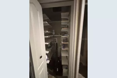 25203 NE 141st Lane #254, Salt Springs, FL 32134 - Photo 22