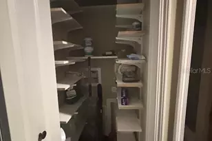 25203 NE 141st Ln, Salt Springs, FL 32134 - Photo 22