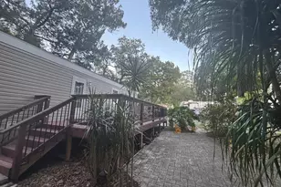 25203 NE 141st Ln, Salt Springs, FL 32134 - Photo 8