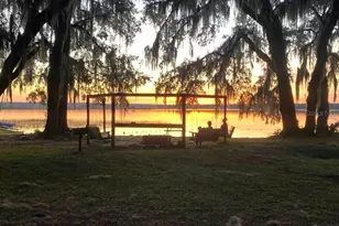 25235 NE 143rd Pl, Salt Springs, FL 32134 - Photo 46